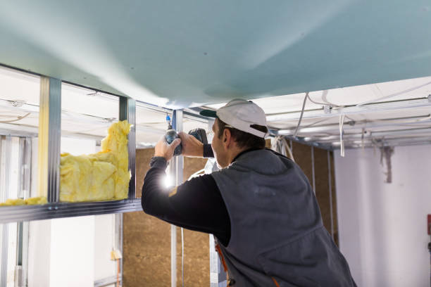Best Eco-Friendly Insulation in Woodlawn, MD